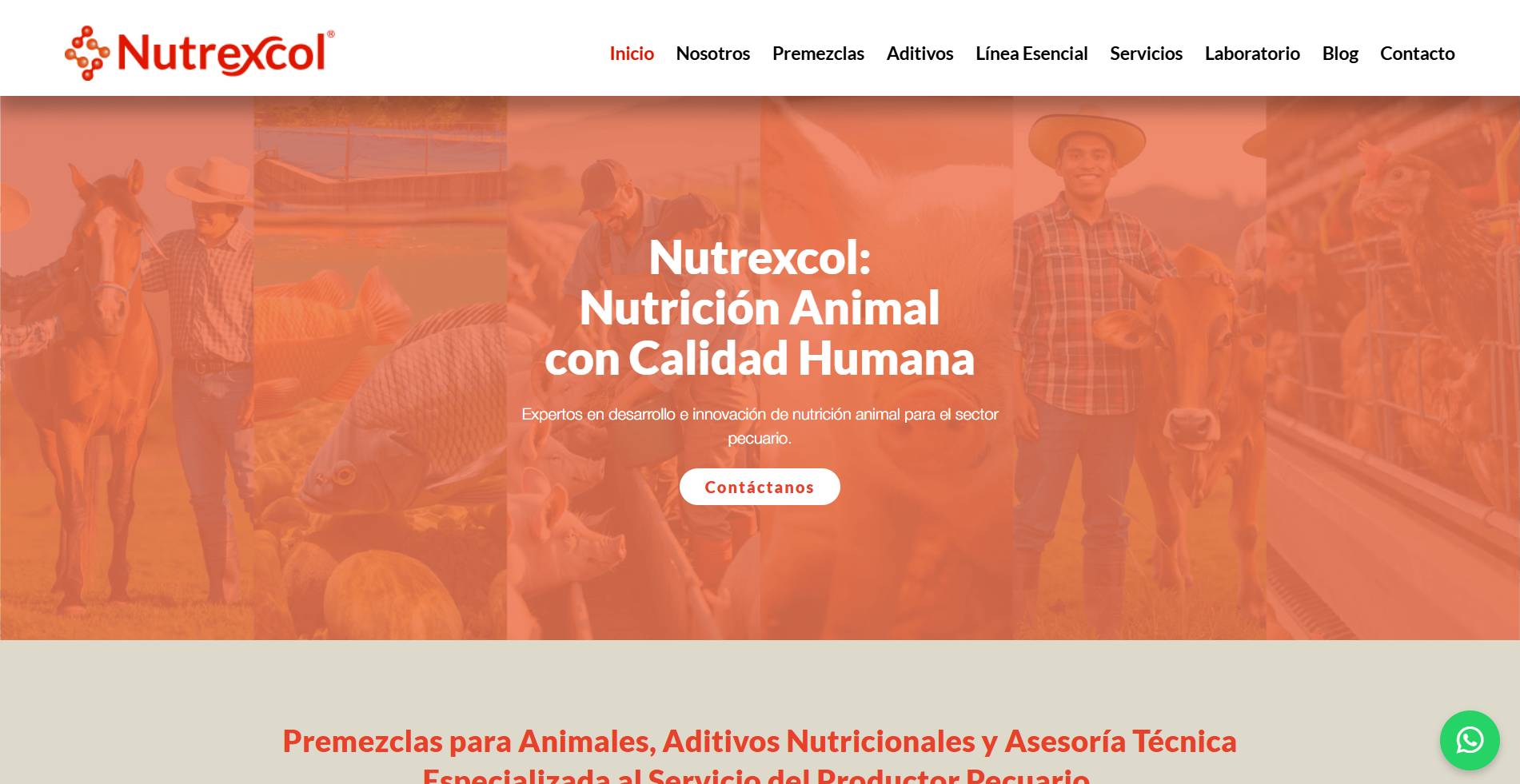 WordPress Divi Corporate Site - Professional Business Website